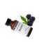 Blackberry Flavor for Sweet Tangy Taste in Desserts Candies and Beverages